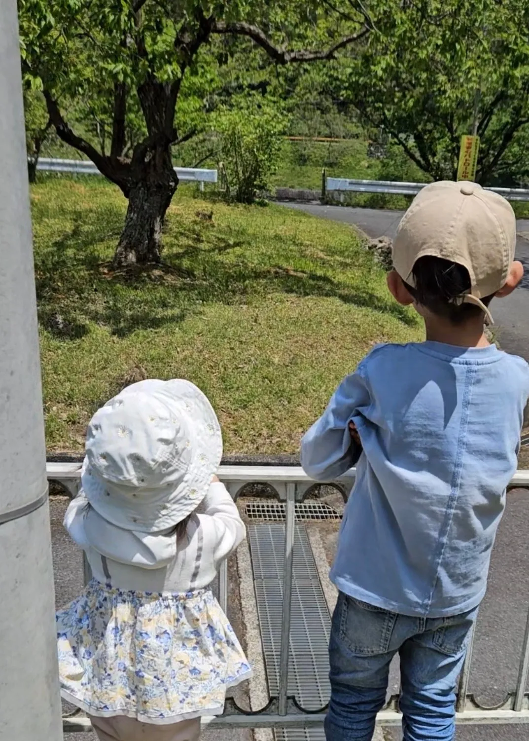 【職員コラム】癒しの1コマ🌼